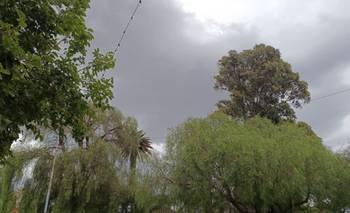 Baja abruptamente la temperatura y se esperan lluvias fuertes