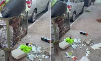 Crece el malestar en la ciudad por la falta de recolección de residuos