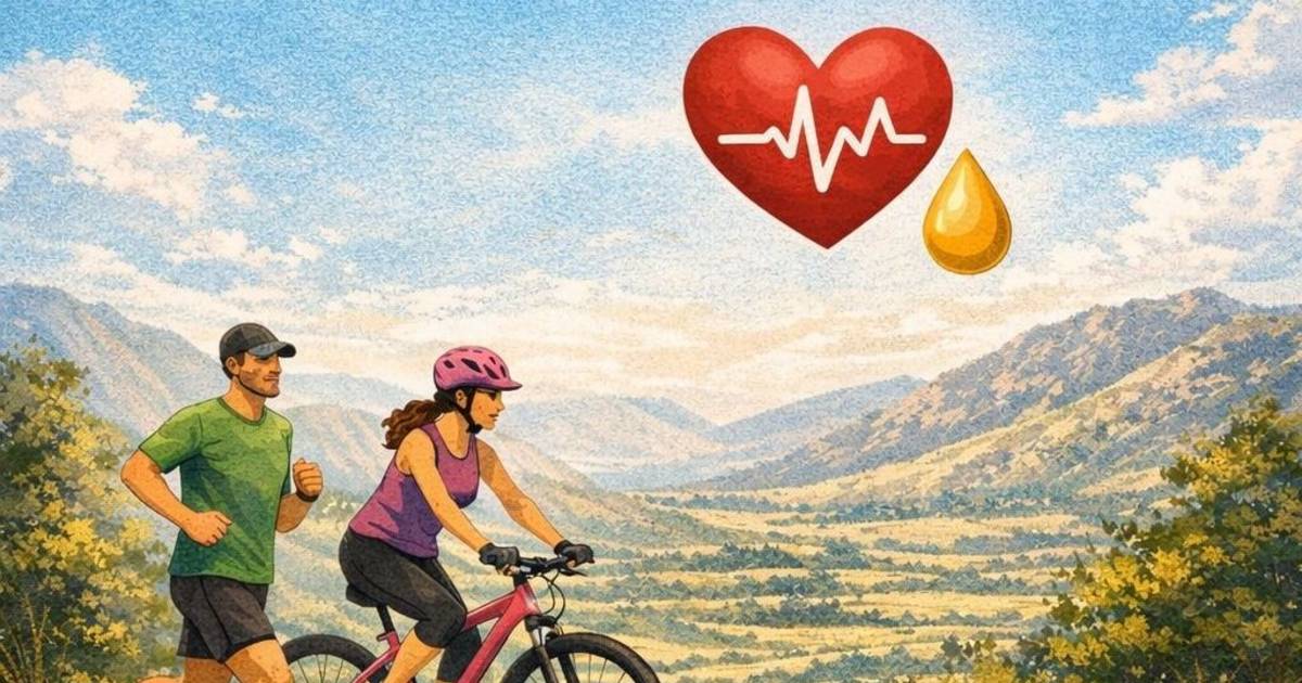 Entrenar sin sufrir | El Diario de la República