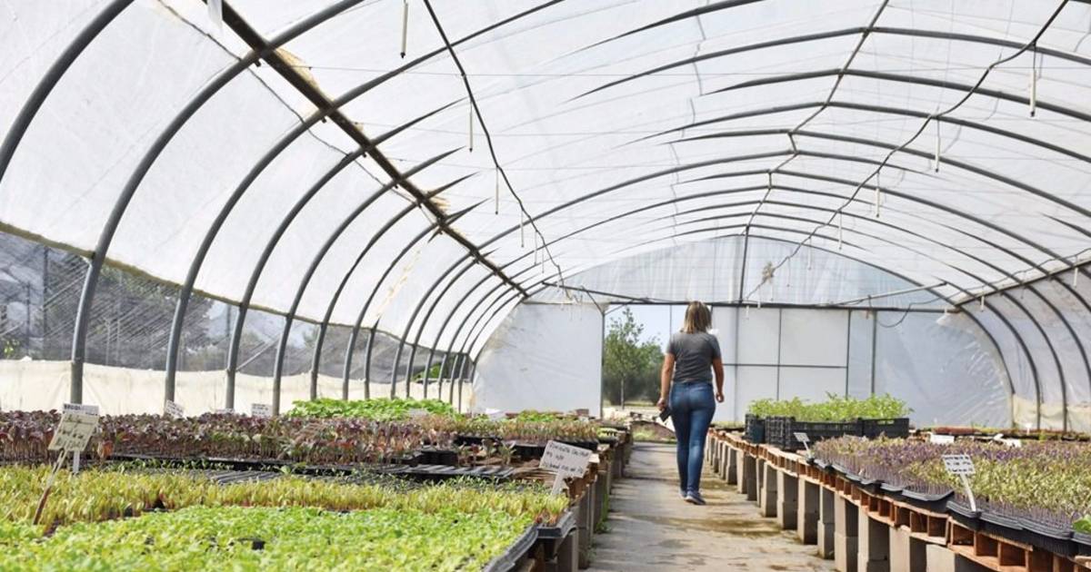 La plasticultura extiende su influencia en el agro | El Diario de la ...