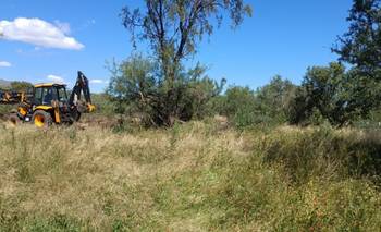 Bosque nativo en peligro: se intensifican los reclamos por desmontes en La Punta