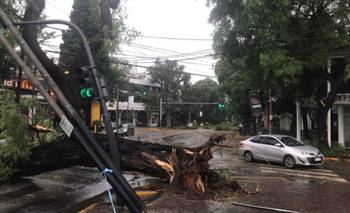 Buenos Aires: destrozos, inundaciones y miles de usuarios sin luz