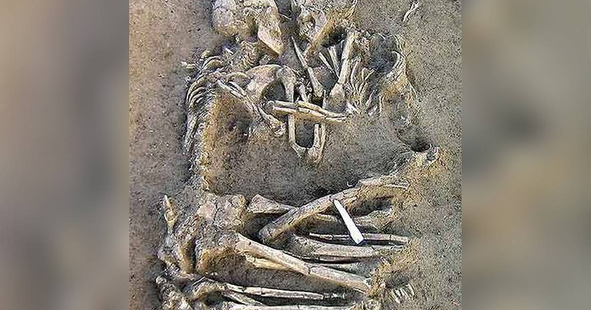 Exhumaron dos nuevos esqueletos encontrados en las ruinas de Pompeya ...
