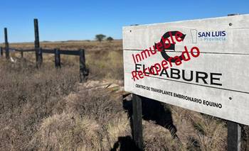 El Caburé: las pruebas que se ignoran para proteger al poder