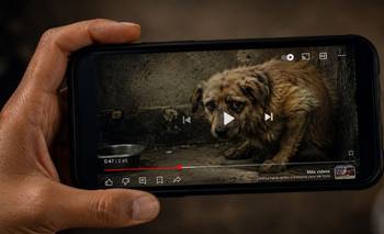 La Argentina del sadismo: cuando la crueldad animal se vuelve espectáculo