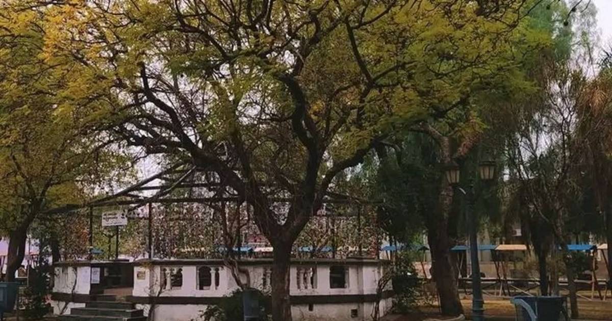 Una historiadora apuntó la &amp;quot;degradación&amp;quot; y ocupación de la plaza Pringles