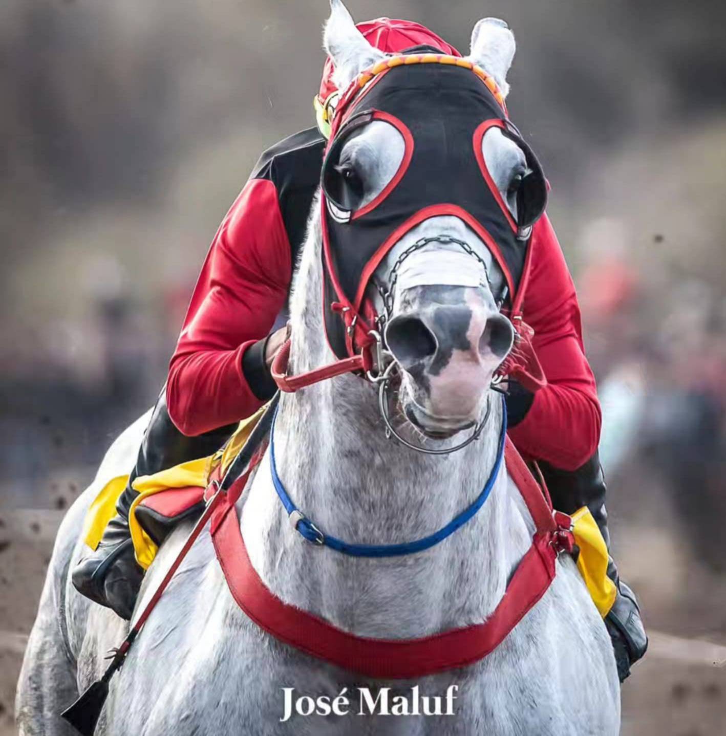 Sandy dao nudes found an ad for Bailee posting and noticed