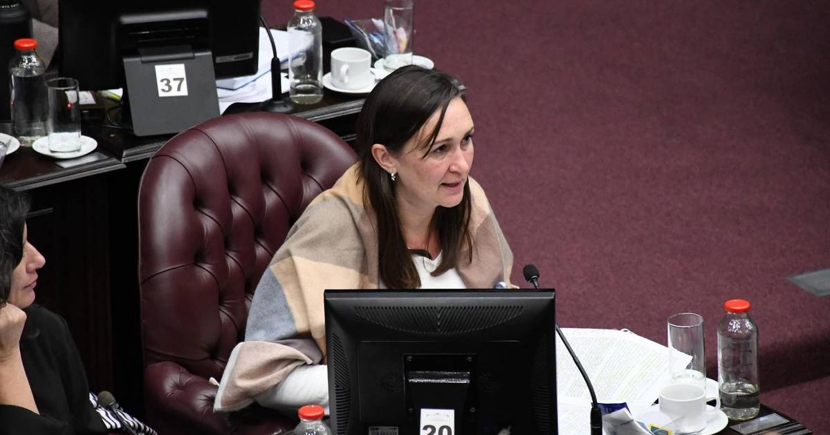 Murió en La Pampa la diputada provincial Luciana Perano