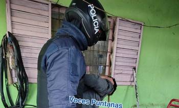 En un violento asalto, a una mujer policía le robaron el arma reglamentaria