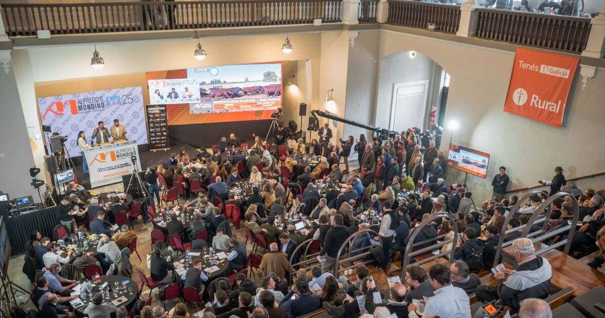 La consignataria Mondino quiere copar la catedral del campo | El Diario de la República