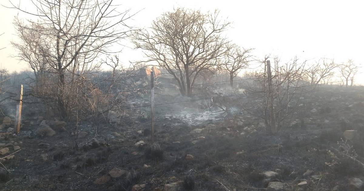 Fuego en las sierras: los vecinos defendieron sus hogares ante las llamas