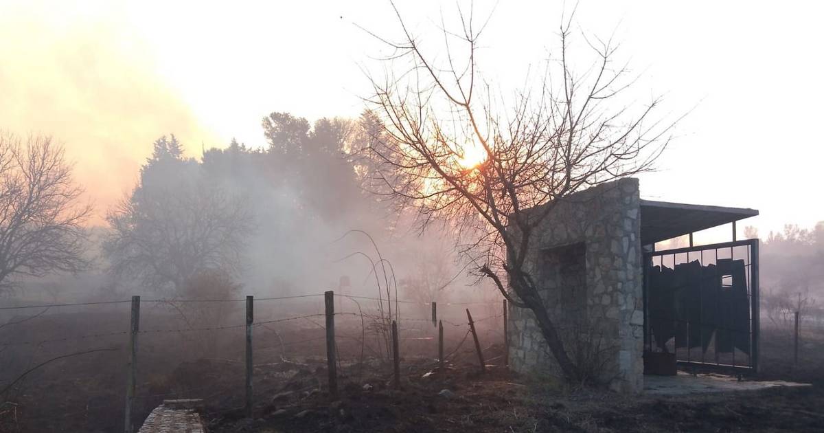 Cenizas y desolación tras el fuego: vecinos dicen que los dejaron solos