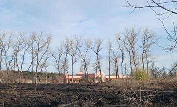 Improvisación y horas perdidas dejaron al fuego arrasar Estancia Grande