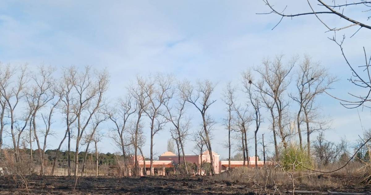 Improvisación y horas perdidas dejaron al fuego arrasar Estancia Grande