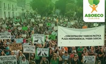 Marcharán por penas más duras al maltrato animal y una ley que “los proteja”