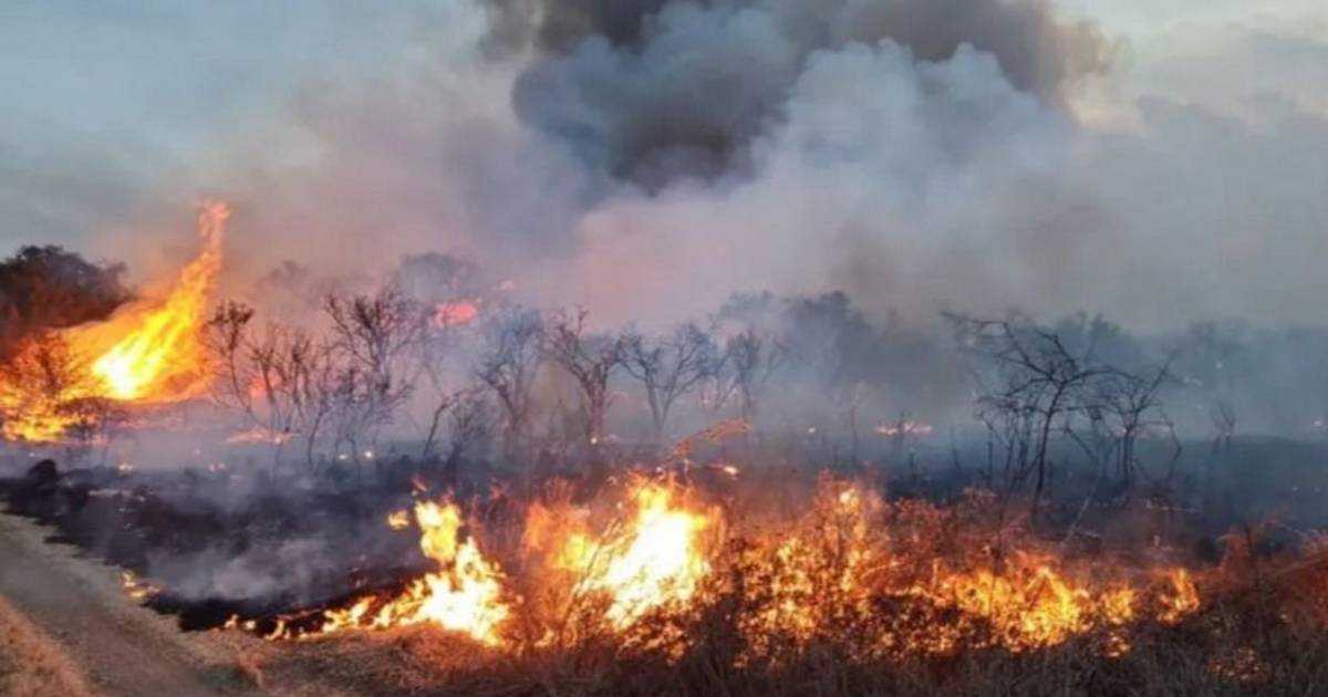 Los incendios están controlados en un 70 por ciento | El Diario de la ...