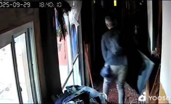 Forzó un portón y robó un televisor en pleno centro: quedó filmado