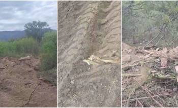 Urgente: piden detener la "práctica corriente" del desmonte en La Punta