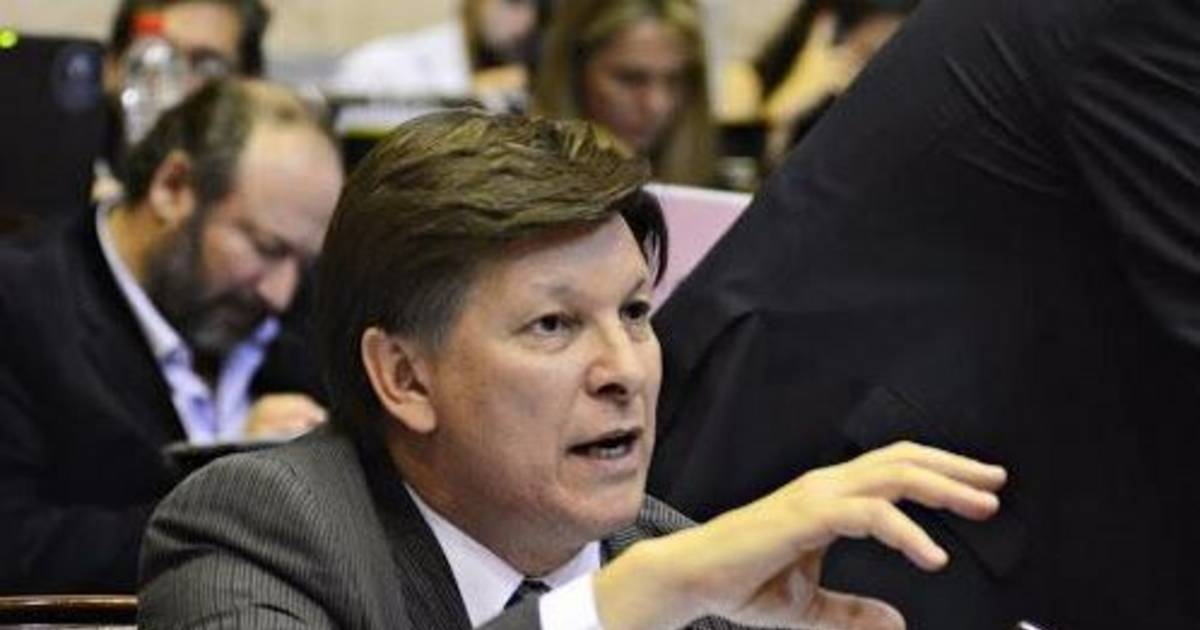 Riccardo calificó de “farsa” la reforma de Poggi y llamó a enfrentarla