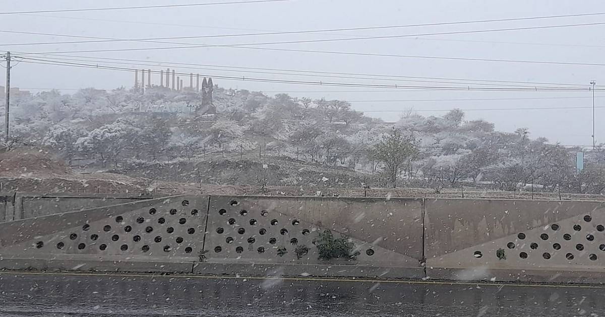Nevó durante toda la mañana y el blanco domina la provincia