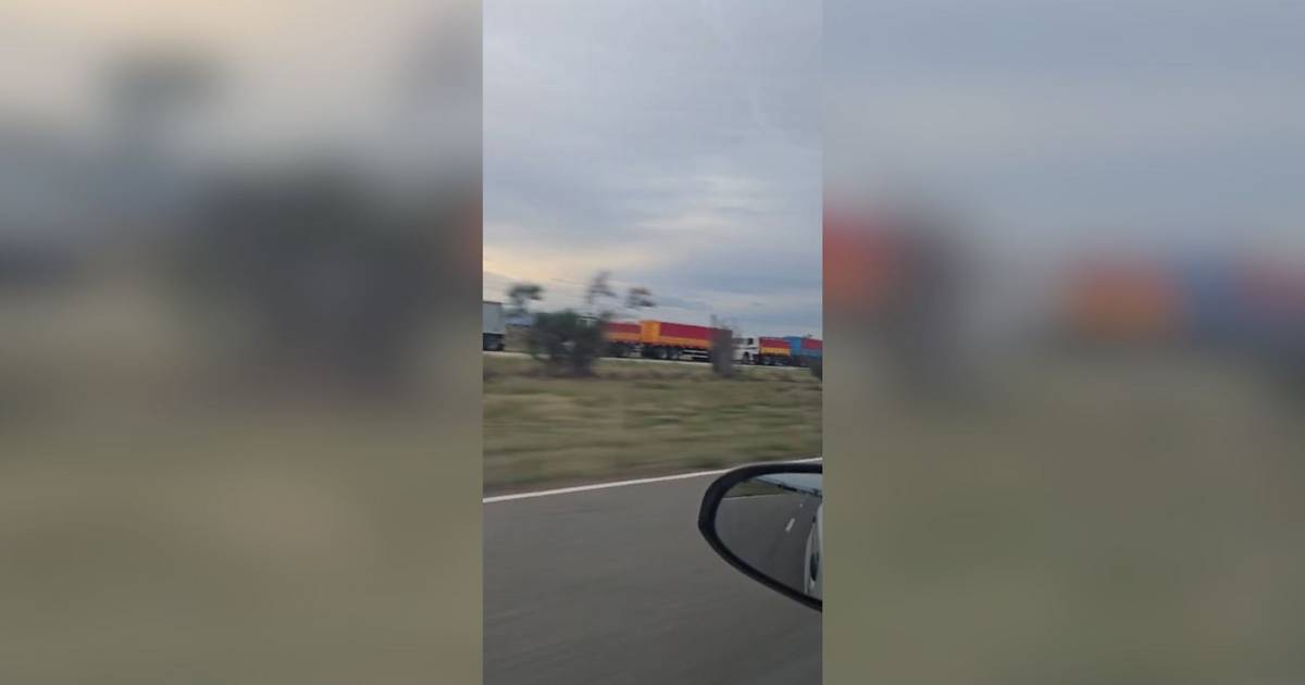 Transportistas del norte piden trabajo mientras la cosecha se la llevan camiones de afuera | El Diario de la República