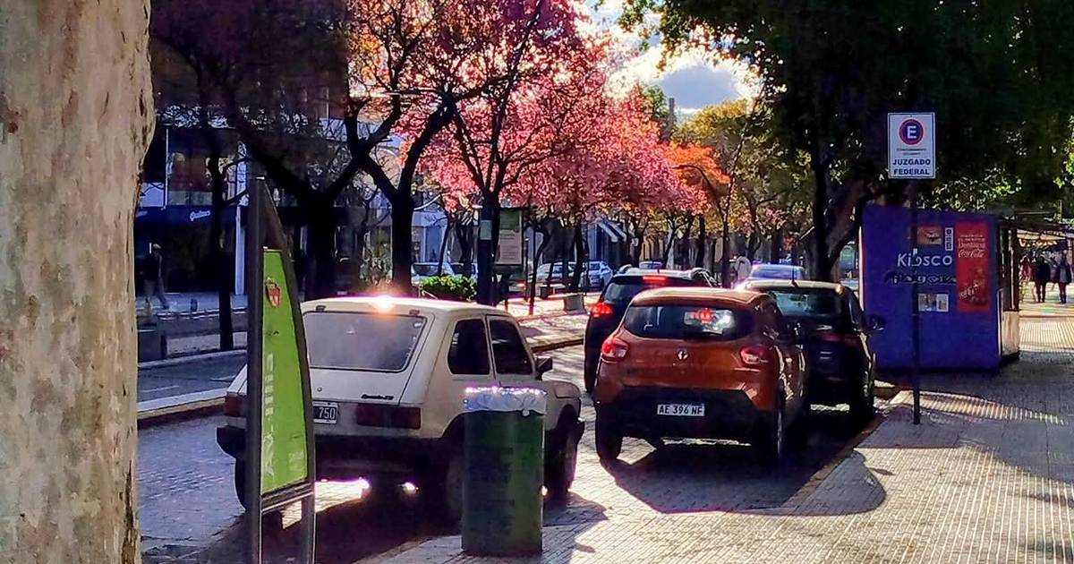En la última semana de octubre asoma por fin la primavera aunque no termina de asentarse